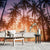 Silhouette Palm Trees at Sunset Wallpaper Mural