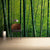 Bamboo Forest Wallpaper Mural
