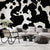 Black And White Cow Print Wallpaper Mural