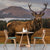 Stag in The Highlands Wallpaper Mural